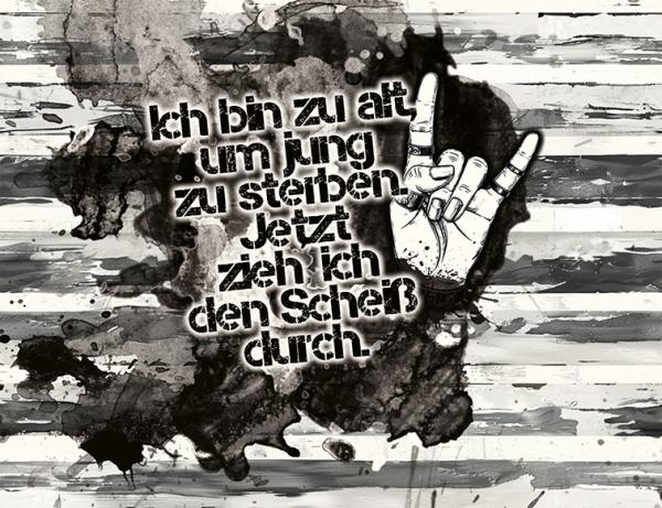 Ich bin zu alt, um jung zu sterben. Jetzt zieh ich den Scheiß durch - kleines Panel - French Terry